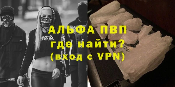 индика Заволжск