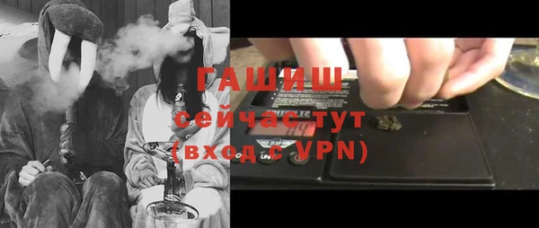 индика Заволжск