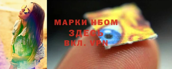 индика Заволжск