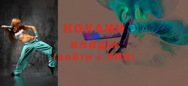 индика Заволжск
