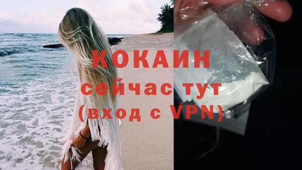 индика Заволжск