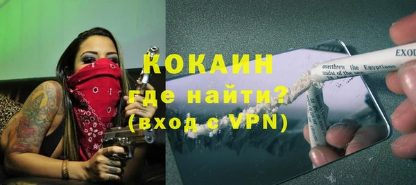 индика Заволжск