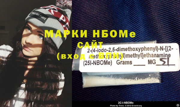 индика Заволжск