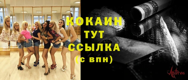 индика Заволжск