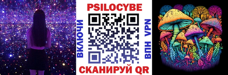 Псилоцибиновые грибы Psilocybine cubensis  Сясьстрой 