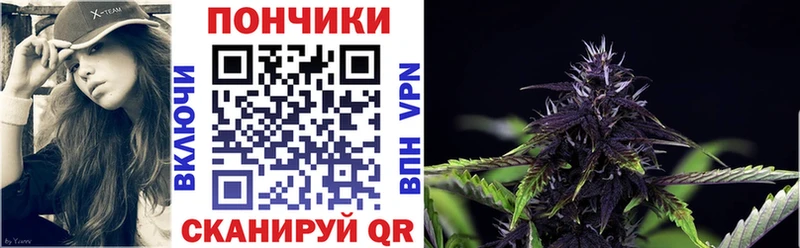 купить наркотик  Сясьстрой  Каннабис индика 